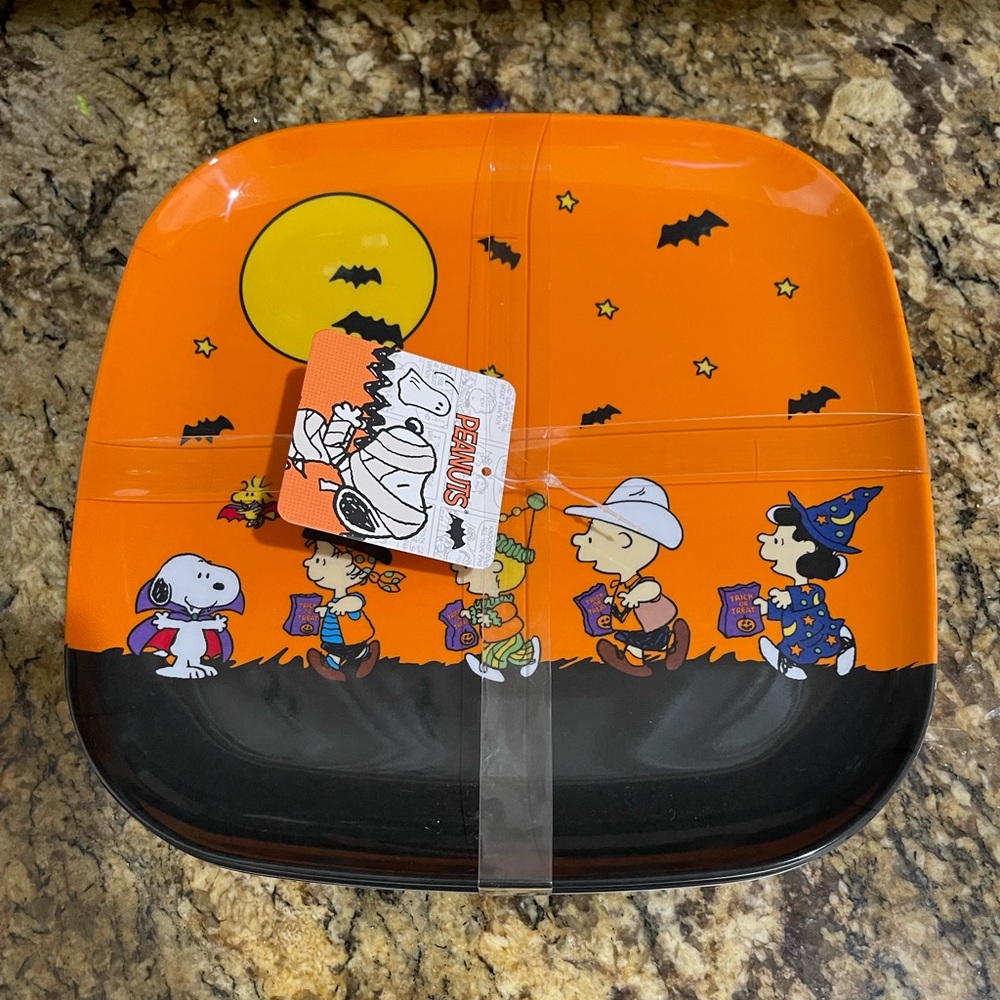 Peanuts 10” Melamine Dinner plate set of 4 - Charlie Brown Halloween  Brand new!